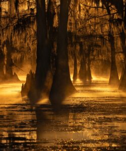 Sanctuary-of-Light- Mike Lang